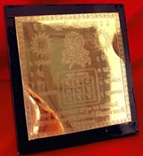 Amulet that brings Fame& Prestige