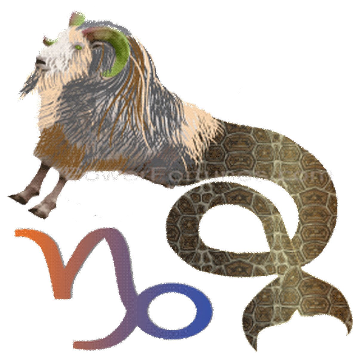 Monthly Horoscopes for Capricorn for 01,January to 31,January